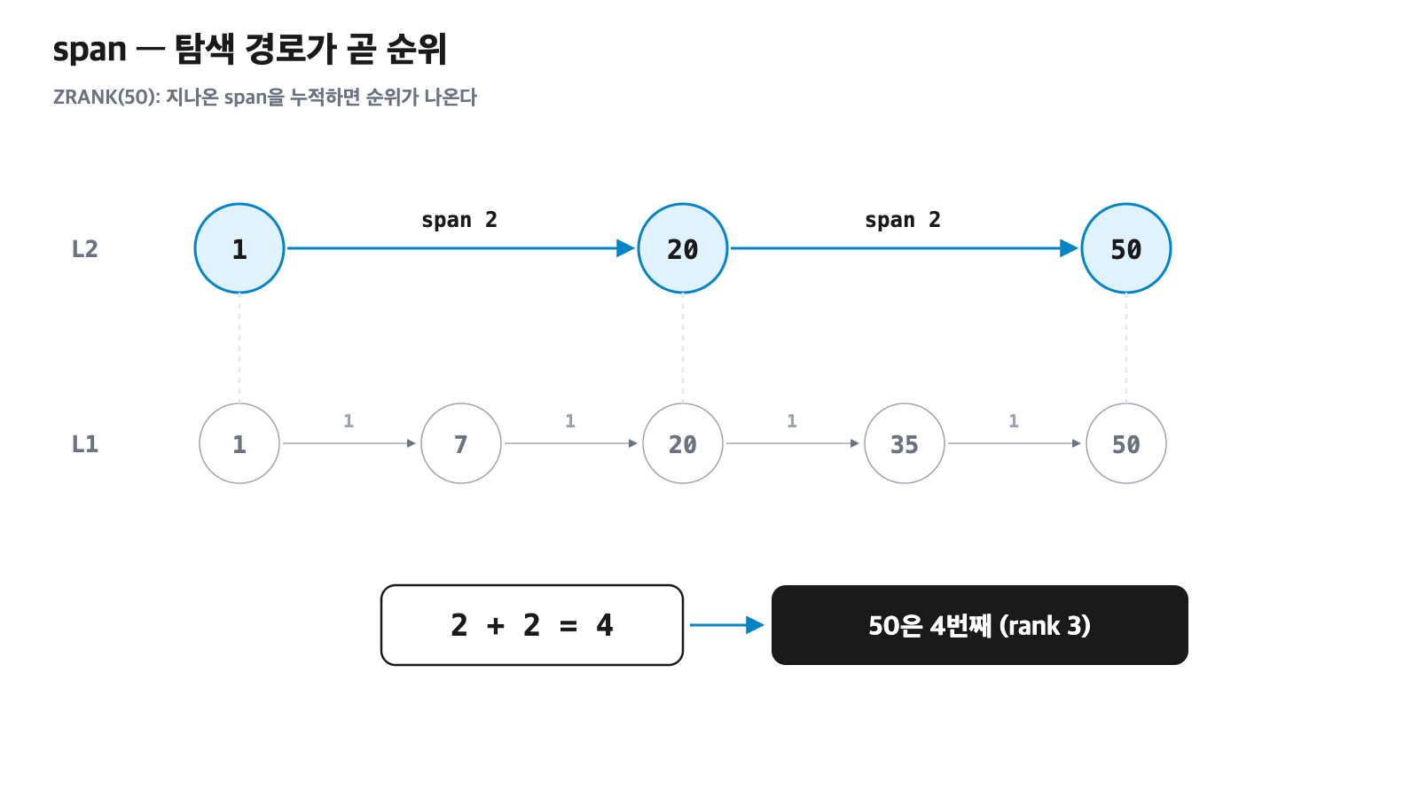 span으로 순위 구하기. 2층 skip list에서 각 forward 화살표에 span이 붙어 있고, ZRANK(50) 탐색 경로 1에서 20, 20에서 50을 따라가며 지나온 span을 누적하면 2 + 2 = 4, 즉 50은 4번째(0-based rank 3)다.